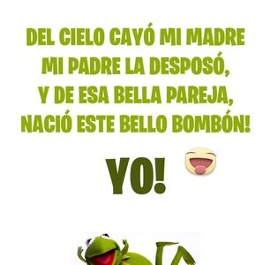 Meet your Posher, Zulema